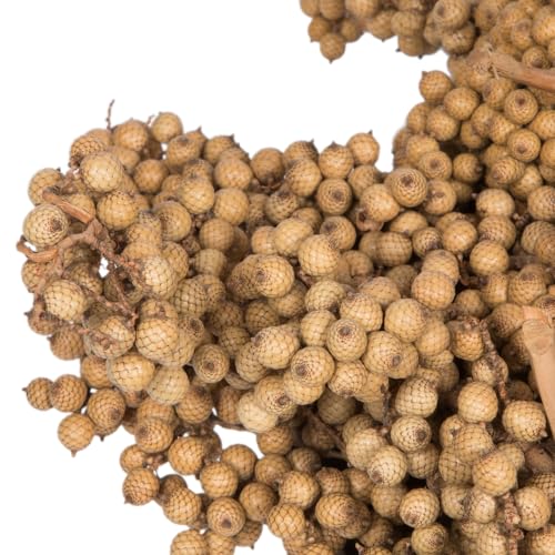 Vickerman Natural Botanicals 6