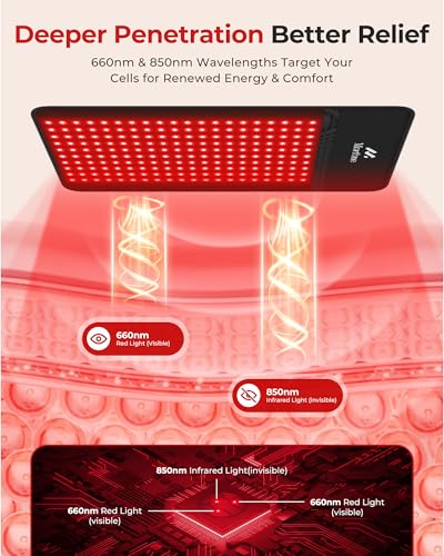 Image of Morfone Red Light Therapy for Body, 10000mAh Cordless Portable Infrared Light Therapy Pad, 24 inch x 12 inch Red Light Mat with Timer, 660&850nm Infrared Heating Pad for Back Shoulder Knee Joint Waist