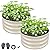 ZXZYHFTY Round Galvanized Raised Garden Bed kit,White Outdoor Garden Raised Planter Box, Round Large Metal Raised Garden Beds for Vegetable 2 * 2 * 1ft 2 Pcs