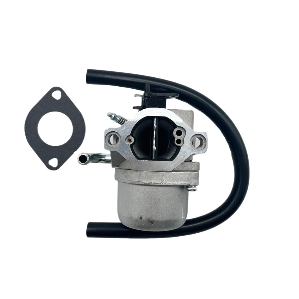 Carburateur compatible avec les modèles de moteur 215802, 215807 et 215872