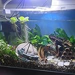 Aquarium Shipwreck Decoration, Fish Tank Ornaments - Image 3