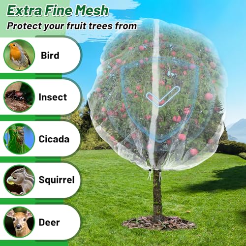 Easy Installation Fruit Tree Netting with Zipper & Drawstring - 6.2x6.2ft Ultra Fine Mesh Garden Protection Screen to Protect Pear Peach Apple from Bird Insect Bug Cicada Deer Squirrel by Alphatool - Image 5