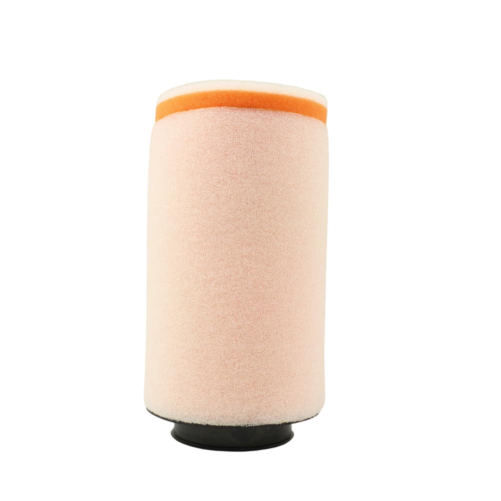 TWIN AIR Filtro aria - 156140 Polaris