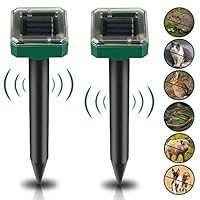 Solar Maulwurf Vertreiber: 2 Stück Solar Maulwurfschreck, Wühlmausschreck Solar, IP65 Wasserdicht Ultraschall Maulwurfabwehr für Vertreiben, Maulwurfbekämpfung, Schädlingsbekämpfung für den Garten (2)
