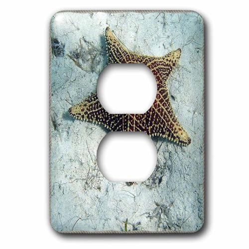 Étoile de mer sous-marine 3dRose lsp_39106_6 double prise murale décorative