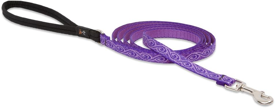 LupinePet Originals 1/2" Jelly Roll 6-Foot Padded Handle Leash for Small Pets