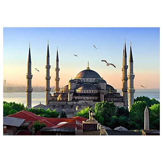 MOSCHEE Fototapet VLIES – 500 x 280 cm (3611A)-Istanbul palats fåglar slott gamla stad Turkiet väggtapet-inkl. klister fibertapet bild dekoration väggdekor modern motivtapet Panorama poster XXL