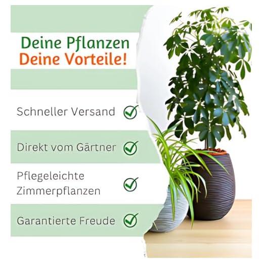 7er-Pflanzen-Set “Tierfreund”, +/- 30-60cm, ø 12-15cm Topf, Bergpalme, Glückskastanie, Bananenpflanze, Korbmarante, Goldfruchtpalme, Grünlilie, Katzengras, Ungiftig & Tierfreundlich