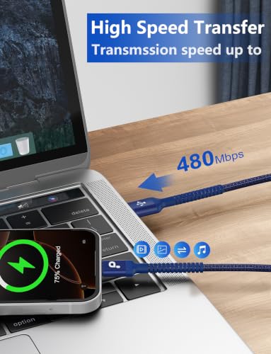 Image of USB to USB C Cable 3A Fast Charging, USB A to USB C Cord [2 Pack, 6FT]