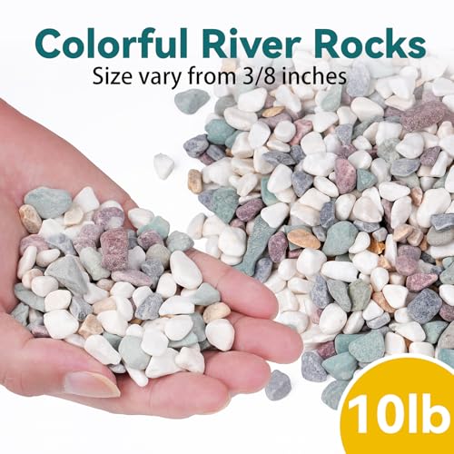Image of 10 lbs Natural Pea Gravel Pebbles for Aquarium, Fish Tank, 3 /8 inch Decorative Pebbles for Indoor Plants, Succulent, Bamboo, Vase, Drainage Rocks for Potted Plants, Top Dressing, Mixed Color