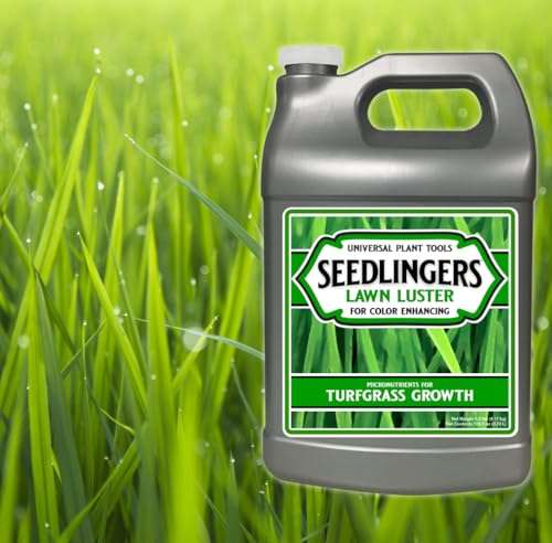 Seedlingers Lawn Luster Concentrado Líquido 1 Galón miniatura 2
