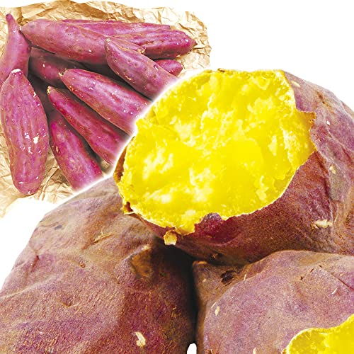 さつまいも 生芋 5kg 茨城産他 紅あずま（S～2L）べにあずま 薩摩芋 食品