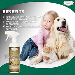   Herbal-Protection-Spray-for-Dogs-Cats-and-Small-Animals-16oz-Natural-Mosquito-Defense-Pet-Safety-Spray-Scent-up-to-12hrs-All-Natural-Mosquito-Repellent-Pet-Safe-Formula-by-Mad-About-Organics