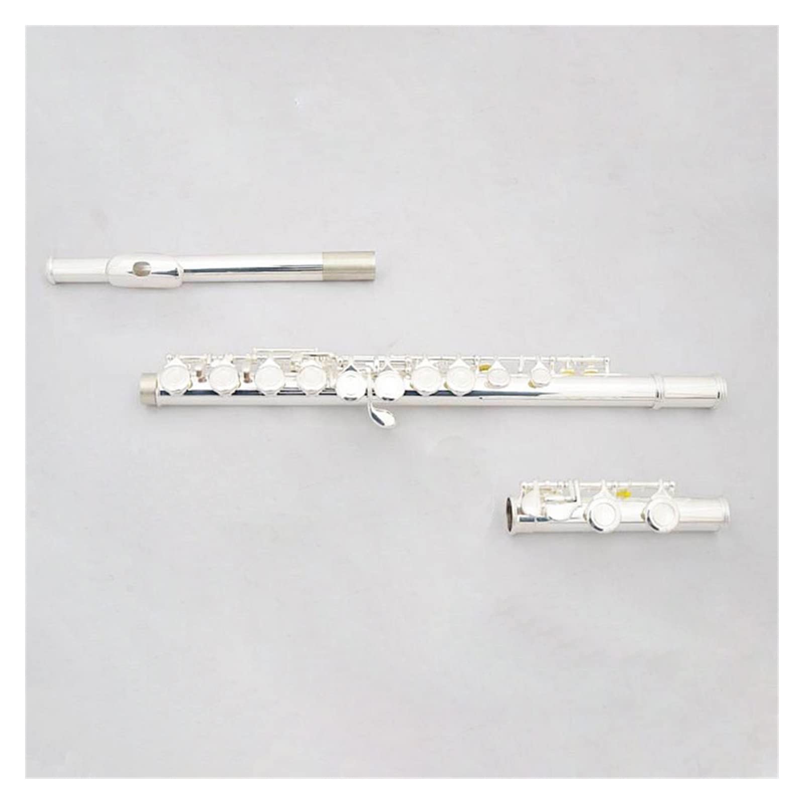 TSTS Flauto traverso Flauto Placcato Argento A 16 Fori Chiusi con Chiave Mi Flauto in Do Flauto Placcato Argento per Principianti