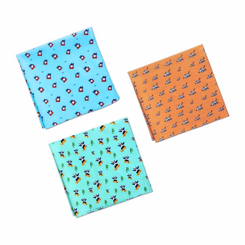 hexafun 100% Organic Soft Men Cotton Casual Style Handkerchiefs|Trendy Printed Hanky Designs|Soft & Breathable Fabric|Pack Of 3-picture-28