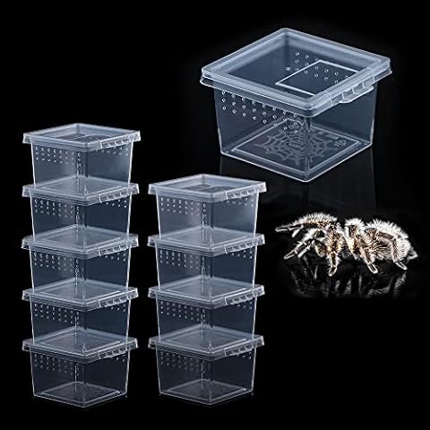 10 Pcs Insect Spider Terrariums Breeding Box Hatching Container Small Reptile Scorpion Centipede Acrylic Breeding Box (Small Size) Cover