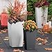 Lechuza 13130 Cubico Color 30 Self-Watering Planter for Indoor and Outdoor Use, 12