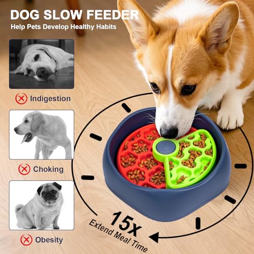 Gamelle slow feeder chien moyen pour ralentir la déglutition et stimuler l'intelligence