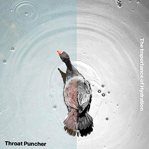 The Importance of Hydration