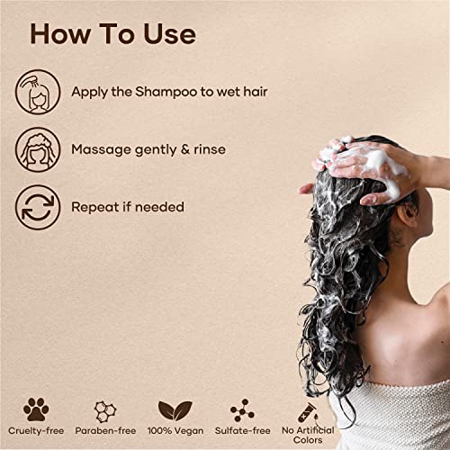 Image of Botanic Hearth Argan Shampoo, Hydrating & Volumizing, Sulfate & Paraben Free, All Hair Types & Color Treated Hair, Men and Women 16 fl oz