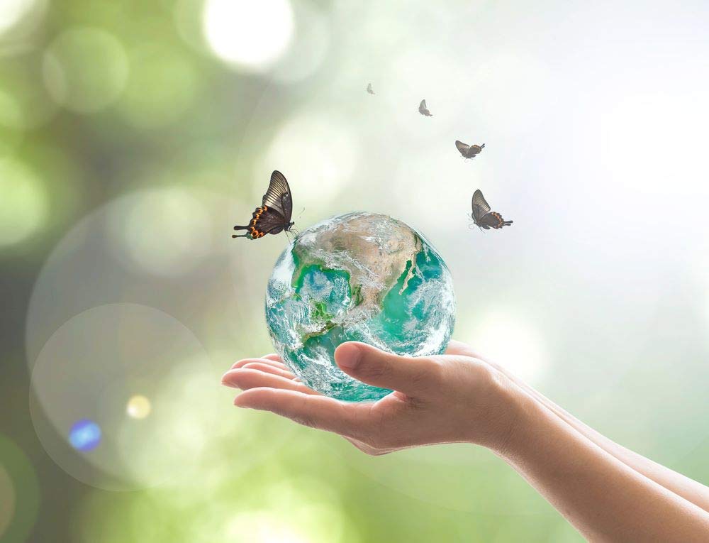 5 Ace World environment day b M sticker poster|save earth|save