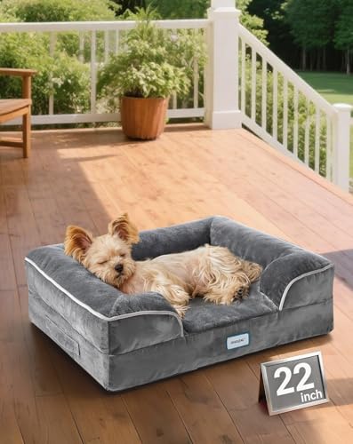 OhGeni Orthopedic Cat Sofa