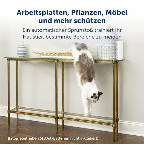 PetSafe SSSCAT automatisches Fernhaltespray für Haustiere, hält Katzen und Hunde von Oberflächen, Pflanzen und potenziellen Gefahren fern, kein Möbelkratzen mehr, sicher, geruchlos und fleckenfrei