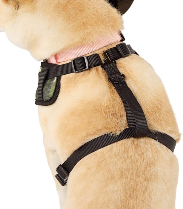 Youly by Petco Camo Dog Harness, Large
