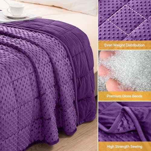 Image of Wemore Minky Dot Weighted Blanket for Adults Queen Size 12 lbs, Soft Cozy Heavy Blanket for Bed and Couch, Breathable Blanket for All-Season with Glass Beads, Purple 60 x 80 inches