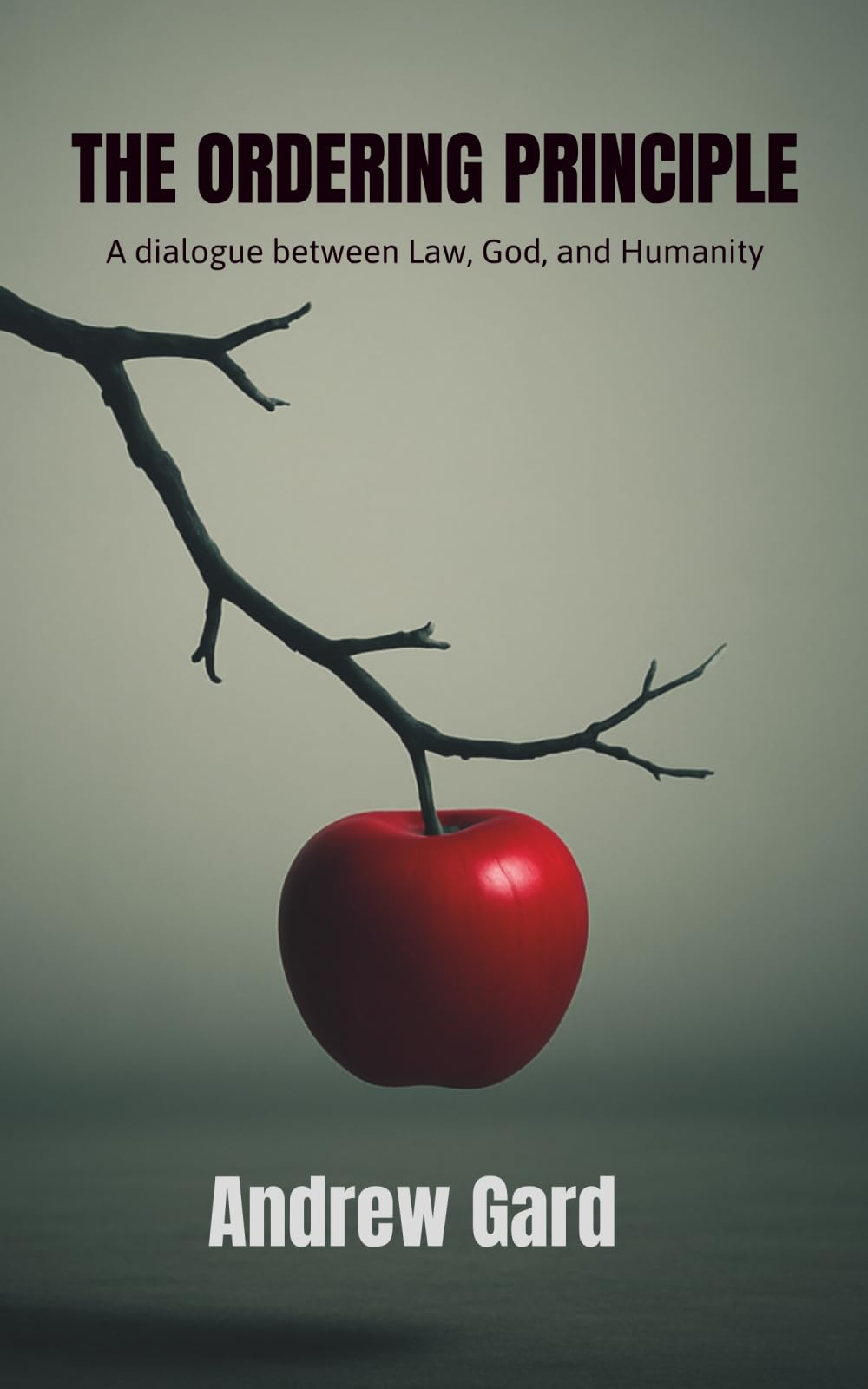 The Ordering Principle: A Dialogue between Law, God, and Humanity (Beyond Then)