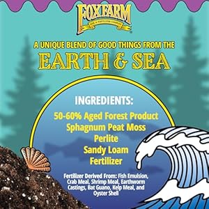 FoxFarm Ocean Forest Potting Soil, 1.5cu ft - Light, Aerated Texture, Designed for All Container Plants - pH Adjusted for Optimal Nutrient Uptake, Effectively Retains Moisture FoxFarm Ocean Forest Potting Soil 15cu ft Light Aerated Texture Designed for All Container Plants pH Adjusted for Optimal Nutrient Uptake Effectively Retains Moisture