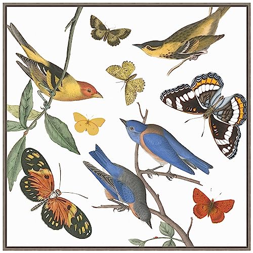 Amanti Art Framed Canvas Wall Art 30x30 Natures Flight I No Ferns by Wild Apple Portfolio, Framed Wall Art Canvas, Animals Artwork, Country Rustic Decor, Large Poster Painting for Living Room,