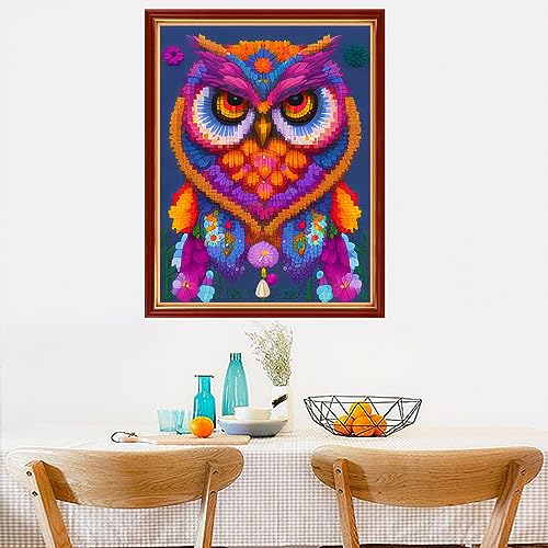 Image of Dimensean Stamped Cross Stitch Kits Full Range of Embroidery Patterns Starter Kits for Beginners Adult DIY Cross Stitches Needlepoint Kits 11CT-Colorful Owl 15.7x19.7 inch