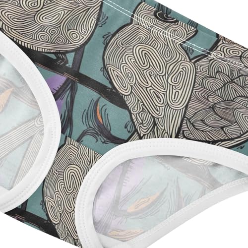 Girls Underwear Toddler 2t Cotton Panties Little Girl Cartoon Undies Kids Briefs Whimsical Birds Teal4