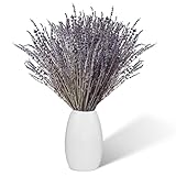 Lavendel Getrocknet 100 Stängel, 43 cm Lang Natürlicher Getrockneter Lavendel Trockenblumen deko, Boho Deko