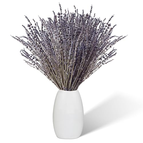 Lavendel Getrocknet 100 Stängel, 43 cm Lang Natürlicher Getrockneter Lavendel Trockenblumen deko, Boho Deko