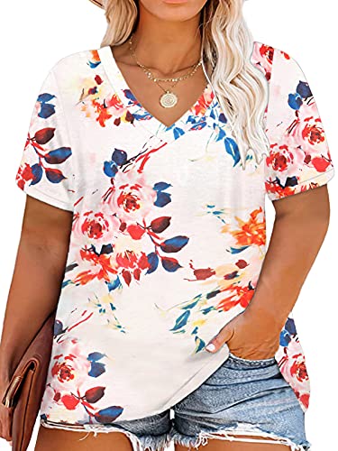 Image of DOLNINE Plus-Size Tops for Women Casual Short Sleeve Color Block T-Shirts