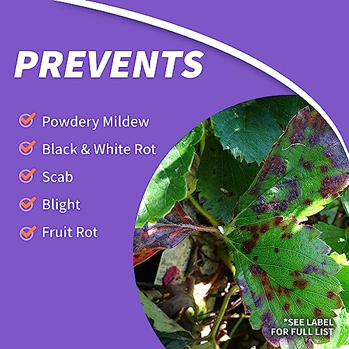 Bonide (BND2021) - Fruit Tree and Plant Guard Concentrate (16 oz.) - image 4