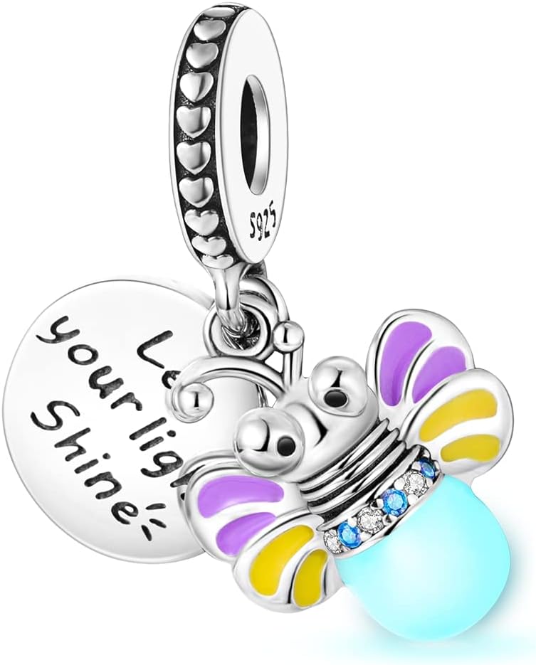 Hapour 925 Sterling Silver Charms Fit for Charm Bracelets Pendant Bead Pet Sun Heart Charm, Bracelet & Necklace Jewelry Bead for Women - Image 2