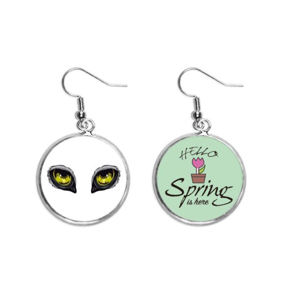 Pendientes de búho con ojos de cristal joya colgante de primavera 5