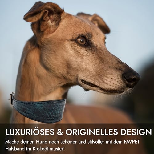 FAVPET Luxus Echtleder Windhund Halsband Breit mit QR Code Anhänger, Weiches Lederhalsband Hund Breit Whippet Italienisches Windspiel Saluki Lurcher Spanischer Galgo Greyhound Podenco (Grün, XS)