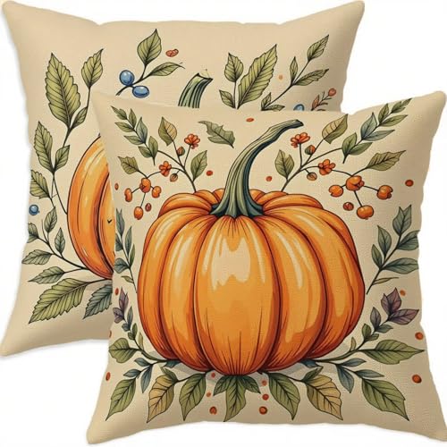 Housse coussin 70x70cm imperméable citrouille taie oreiller extérieur - 2