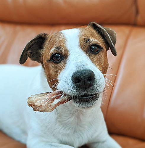 Amazon.co.jp: 国産 馬アキレス 約100g 完全無添加 犬 おやつ 歯磨き用