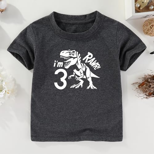 Dinosaur 3rd Birthday Shirt boy Girl Unisex Three Shirt 3 Year Old Birthday t Shirt Outfits2