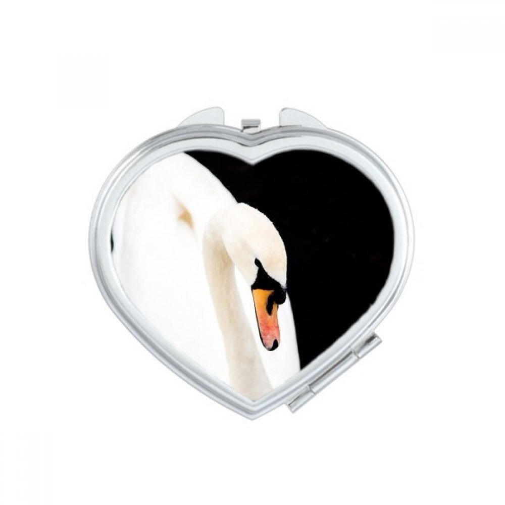 Miroir portable singe terrestre animal sauvage compact miroir de poche mignon