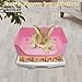 kathson 2PCS Large Rabbit Litter Box Trainer, Potty Corner Toilet with Drawer Bigger Pet Pan for Adult Hamster, Guinea Pig, Ferret, Galesaur, Bunny and Other Animals (Pink,Brown)
