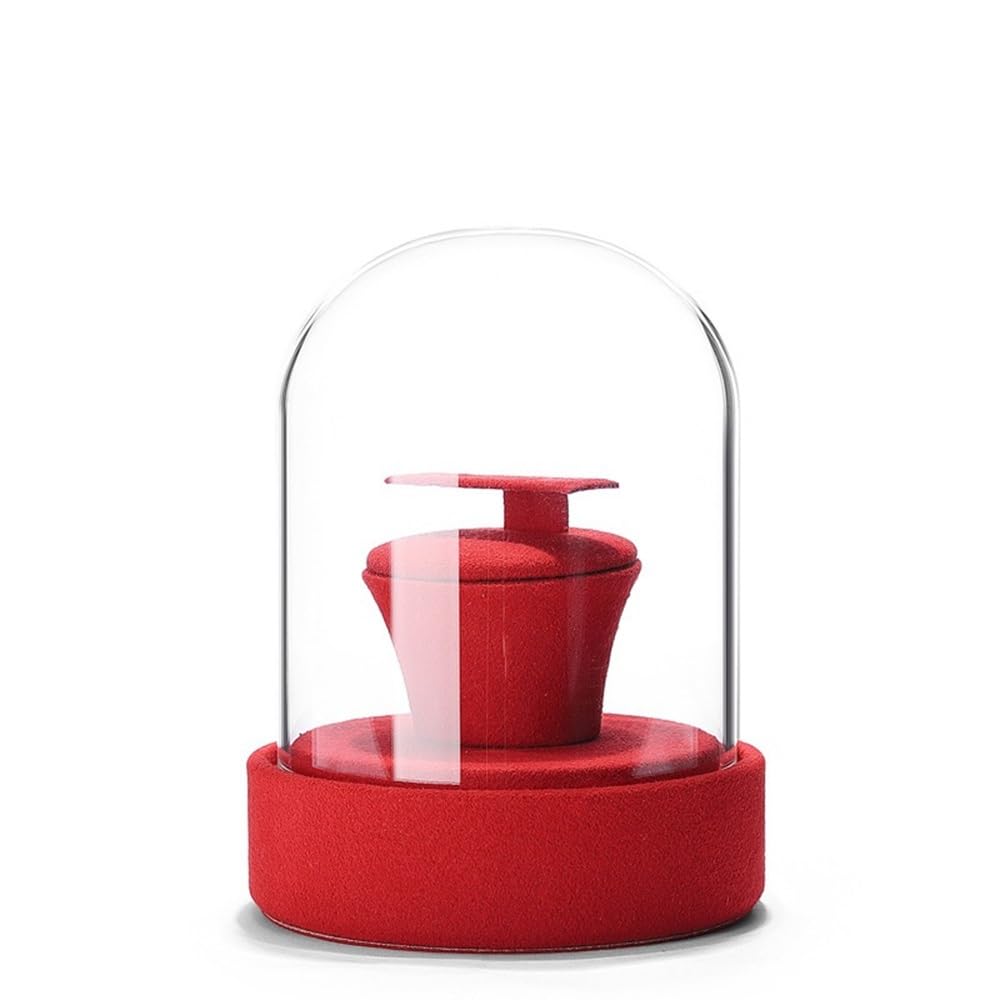 WANGHAI-666 Jewelry Rack Glass Jewelry Display Case Dustproof Organizer for Earrings Holder