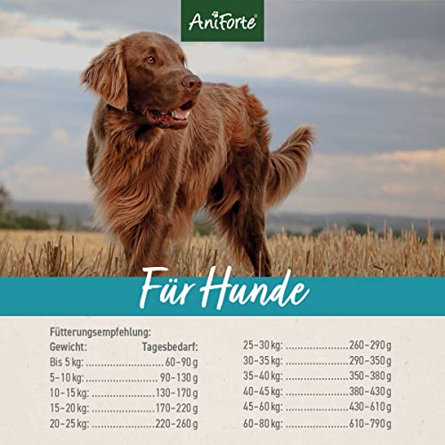 AniForte Lachs Trockenfutter für Hunde 7kg – Frischer Lachs mit Kartoffeln & Vitaminen, Halbfeuchtes Trockenfutter, Hundefutter trocken getreidefrei & glutenfrei für Allergiker