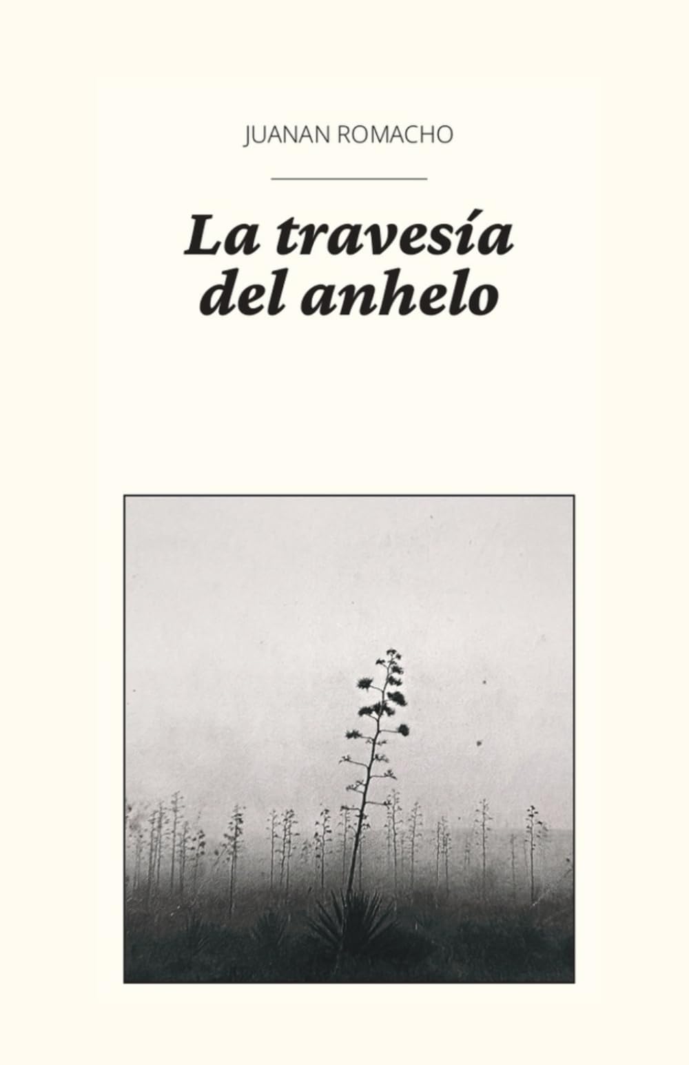 La Travesía del Anhelo