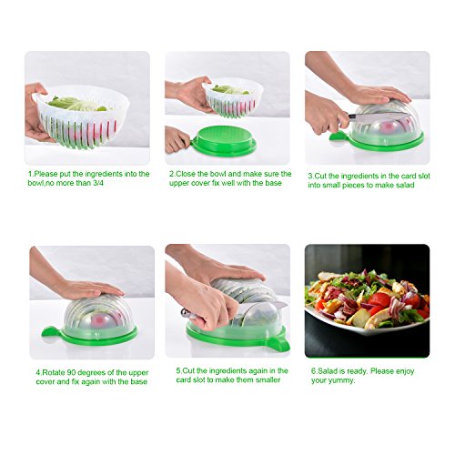 Insalata Cutter Bowl, certificato FDA Insalata